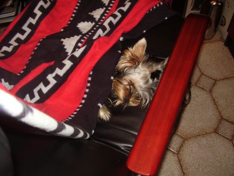 2008.01.29_003.jpg 2008.01.29_003.jpg